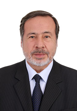 GUSTAVO GALLON GIRALDO