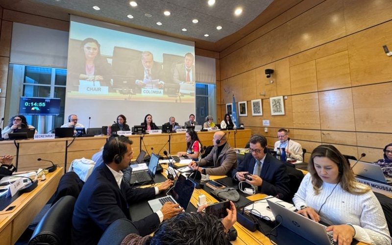 Colombia expone avances y desafíos en la protección de la niñez ante la ONU en Ginebra