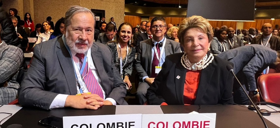 La Cancillería participó en la inauguración de la 34 Conferencia Internacional de la Cruz Roja y la Media Luna Roja