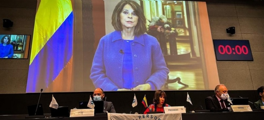 Vicepresidente y Canciller intervino, en nombre de Colombia, en la Conferencia de Donantes de la Convención sobre la prohibición de minas antipersonal