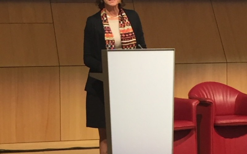 La Embajadora Beatriz Londoño Soto, se sumó a la iniciativa convocada por Suiza del Panel Global de Alto Nivel sobre Agua y Paz, realizado en Ginebra el 16 de noviembre. 