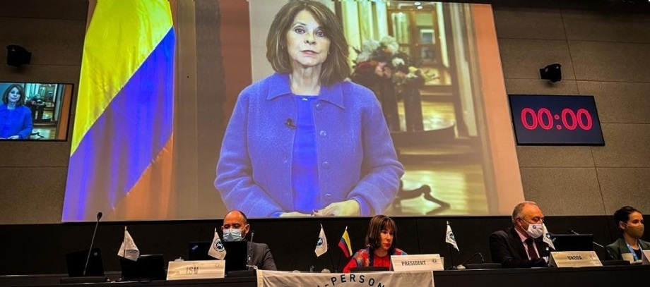 Vicepresidente y Canciller intervino, en nombre de Colombia, en la Conferencia de Donantes de la Convención sobre la prohibición de minas antipersonal